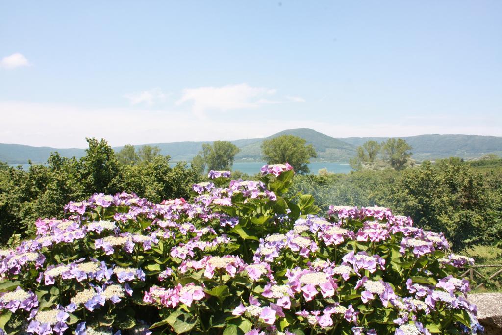 רונצ'יליונה La Finestra Sul Lago מראה חיצוני תמונה