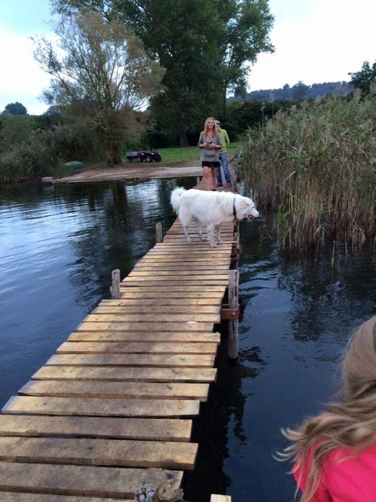 רונצ'יליונה La Finestra Sul Lago מראה חיצוני תמונה