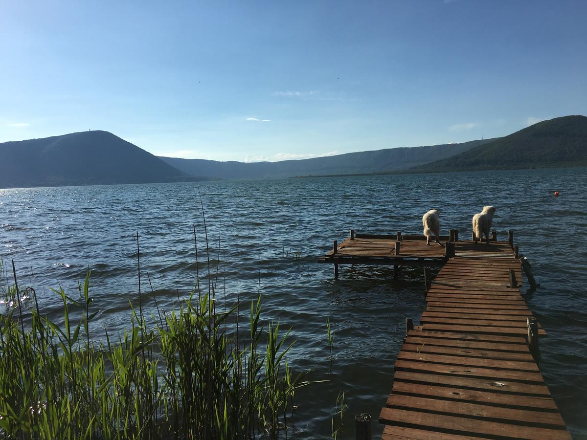 רונצ'יליונה La Finestra Sul Lago מראה חיצוני תמונה